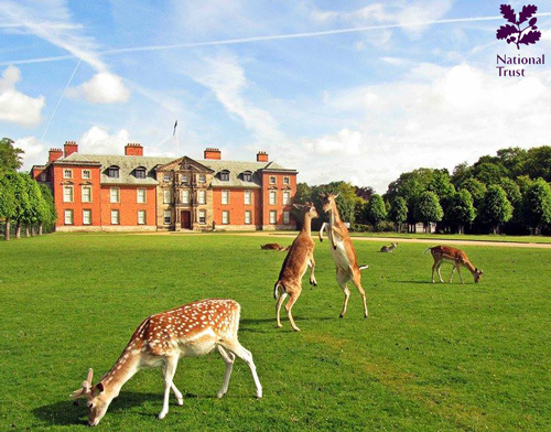 National Trust Logo