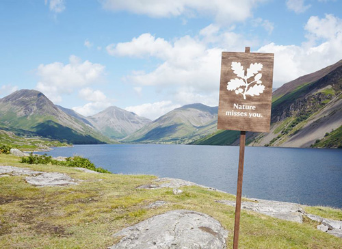 National Trust Logo