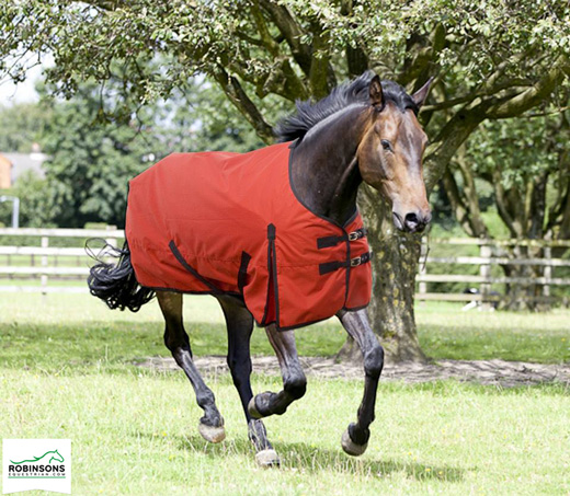 Robinson Equestrian Product