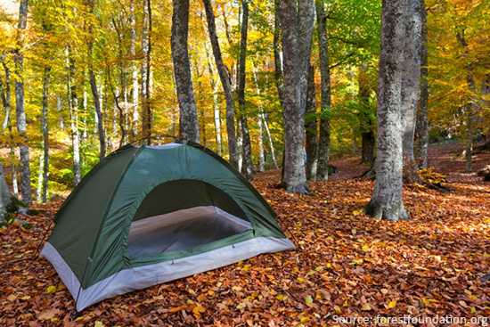 camping-autumn